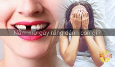 Mơ thấy gãy răng đánh con gì để nhanh đổi đời nhất